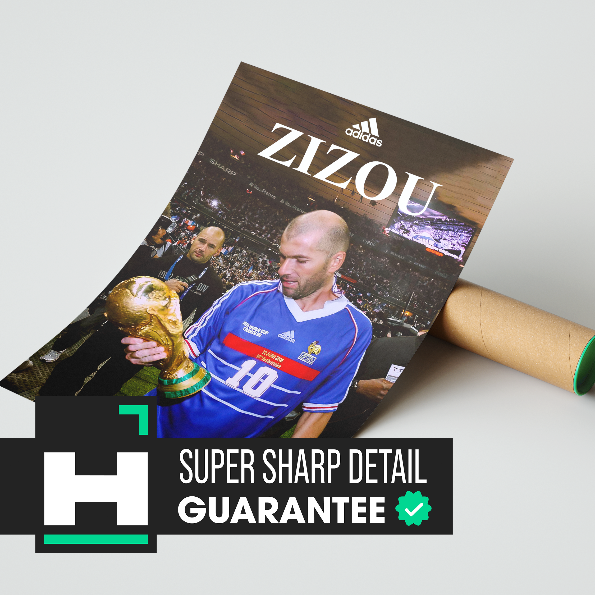 Zizou World Cup Poster